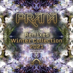 Winter Collection 2021 (Remixes)