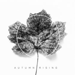 Autumn Rising