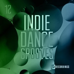 Indie Dance Grooves, Vol. 12