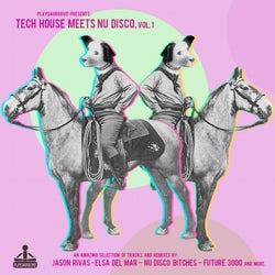 Tech House Meets Nu Disco, Vol. 1