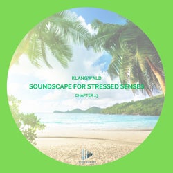Soundscape For Stressed Senses Chapter 13