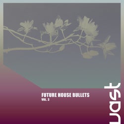 Future House Bullets, Vol. 3