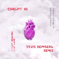 Dropt Einstein: Just Love (Davis Reimberg Remix)