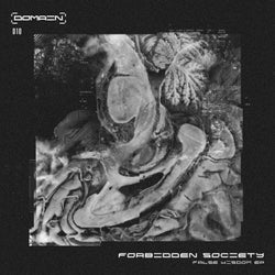 False Wisdom EP