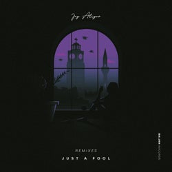 Just a Fool (Remixes)