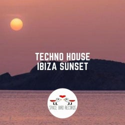 " Techno & House " Various Artists " 02