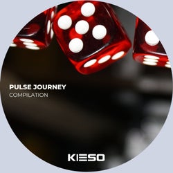 Pulse Journey