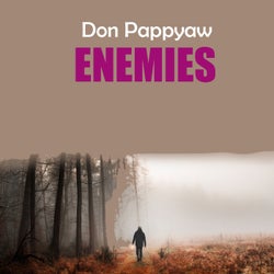 Enemies