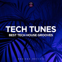 Tech Tunes - Best Tech House Grooves