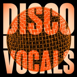 Disco Vocals: Soulful Dancefloor Cuts Featuring 23 Of The Best Grooves