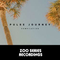 Pulse Journey