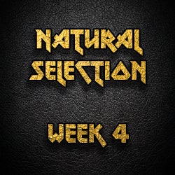 Natural Selection - Week 4