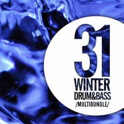 31 Winter Drum & Bass Multibundle