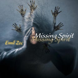 Missing Spirit