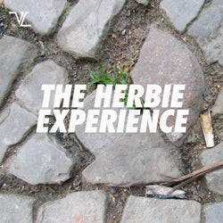 The Herbie Experience
