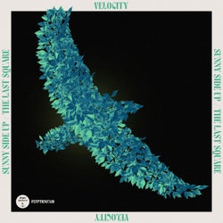 Hoesafbeelding voor Sunny Side Up / The Last Square
