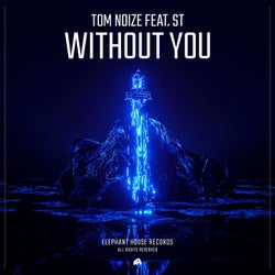 Without You (feat. ST)