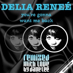 You're Gonna Want Me Back - Dave Lee ZR Remixes