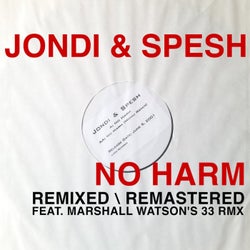 No Harm (Remixed)