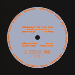 Running To The Sea (feat. Susanne Sundfor) [Disfreq Remix]