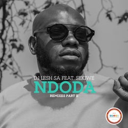 Ndoda Remixes Pt.2