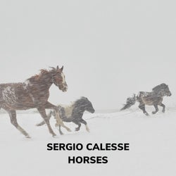 horses