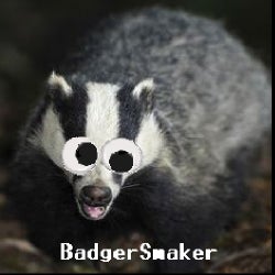 Badger Bangers: Week 42