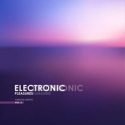 Electronic Pleasures, Vol. 2