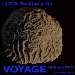 Voyage One and Two