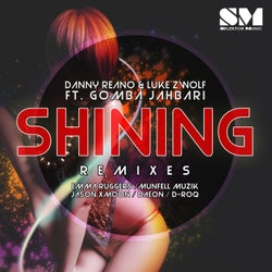 Shining the Remixes