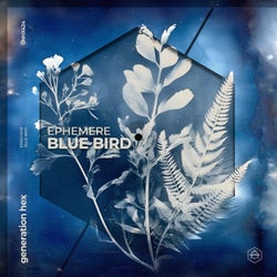 Blue Bird - Extended Mix