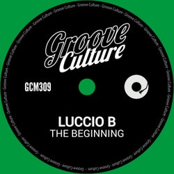 The Beginning