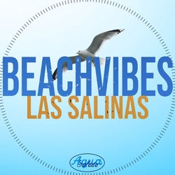 BeachVibes - Las Salinas