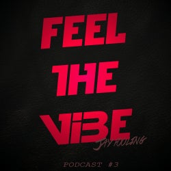 Feel The Vibe - Podcast #3