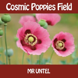 Cosmic Poppies Field
