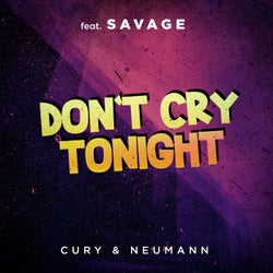 Don't Cry Tonight (Remix)