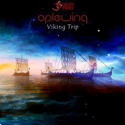 Viking Trip