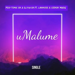 uMalume (feat. DJ 9.8 SA, Laanoss, Ceekay Musiq)