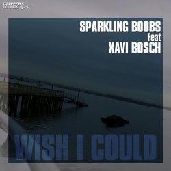 Wish I Could (feat. Xavi Bosch)