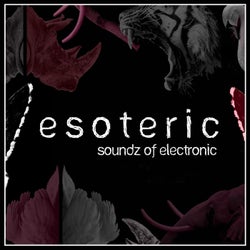 Esoteric Soundz of Electronic