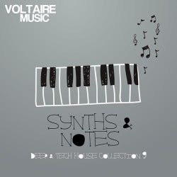 Synths And Notes 9.0