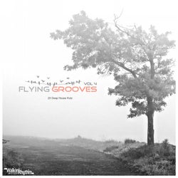Flying Grooves, Vol. 4