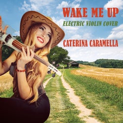 Wake Me Up - Electric Violin Cover