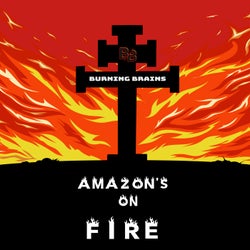 Amazon's on Fire