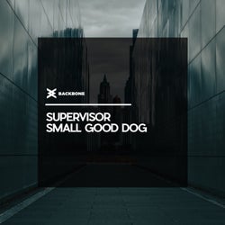 Small Good Dog