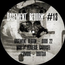 Basement Reborn #13