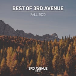 Best of 3rd Avenue | Fall 2020