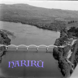 Harirū