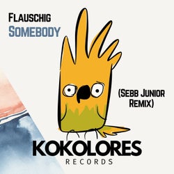 Somebody (Sebb Junior Remix)