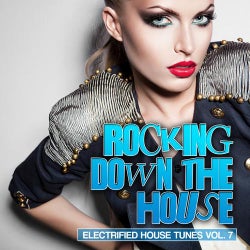 Rocking Down The House - Electrified House Tunes Vol. 9